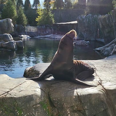 Owen Sea Lion Shores photo 2