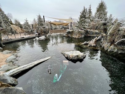Owen Sea Lion Shores photo 3