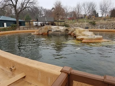 Owen Sea Lion Shores photo 5