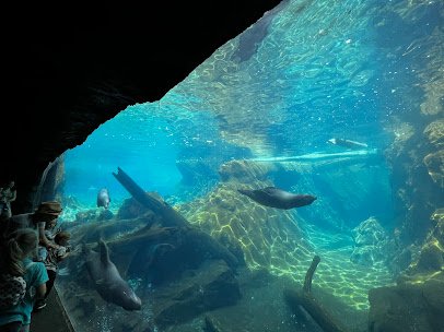 Owen Sea Lion Shores photo 6
