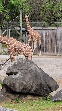 Zoo Knoxville photo 2