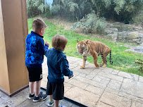 Zoo Knoxville photo 4