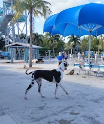 Sailfish Splash Waterpark Lap Pool photo 5