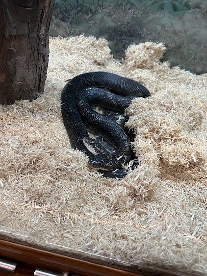 Cape Girardeau Conservation Nature Center photo 3