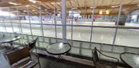 The Skating Edge Ice Arena photo 3