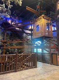 Great Wolf Lodge Indoor Water Park | Illinois photo 4