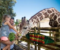 Gulf Breeze Zoo