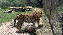 Gulf Breeze Zoo photo 2