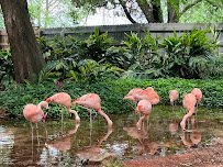 Gulf Breeze Zoo photo 4