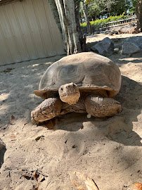 Gulf Breeze Zoo photo 6
