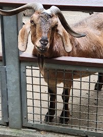 Children's Zoo photo 3