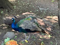 Children's Zoo photo 5