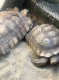 Children's Zoo photo 6