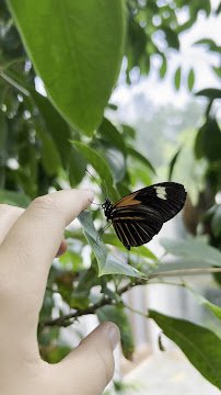 Museum of Life and Science photo 2