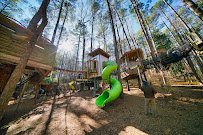 Museum of Life and Science photo 3