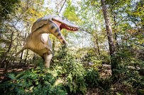 Museum of Life and Science photo 5