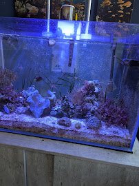 Rivers to Reefs Aquariums photo 3