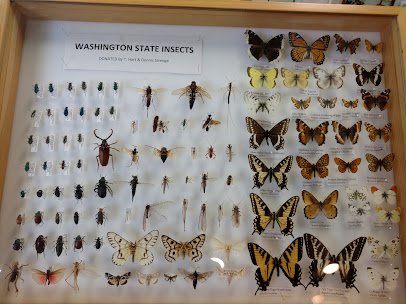 Bug & Reptile Museum photo 3