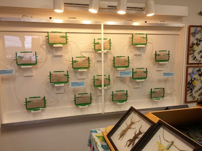 Bug & Reptile Museum photo 5