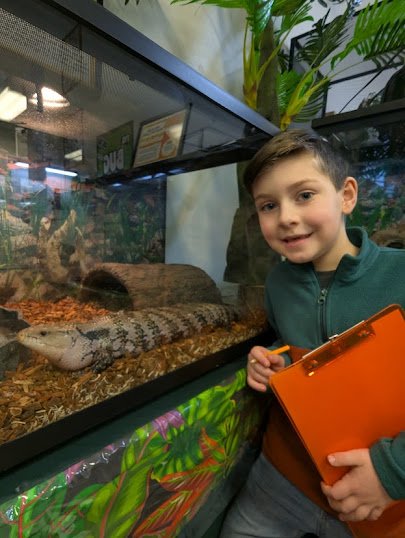 Bug & Reptile Museum photo 6