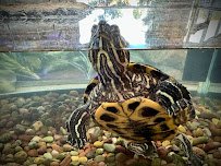 Children's Museum of Skagit County photo 5