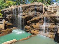 Pirate's Cove Adventure Golf photo 3
