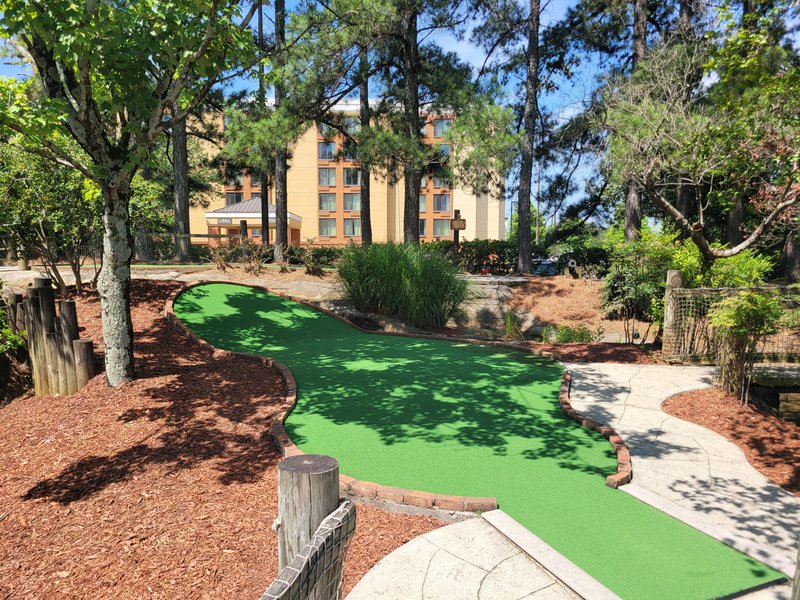 Pirate's Cove Adventure Golf photo 4