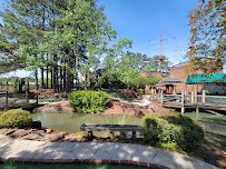 Pirate's Cove Adventure Golf photo 6