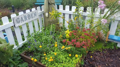 The Allen County Children's Garden photo 2