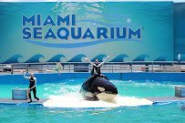 Miami Seaquarium