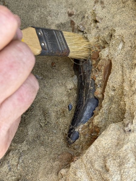 PaleoAdventures photo 3