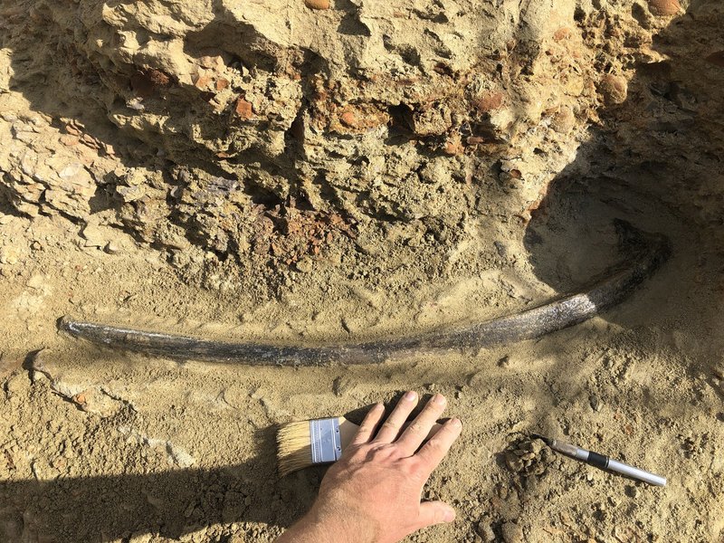 PaleoAdventures photo 5