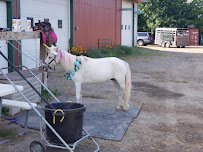 Carousel Acres, inc. photo 4