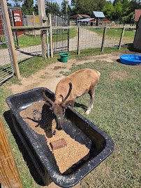 Carousel Acres, inc. photo 5