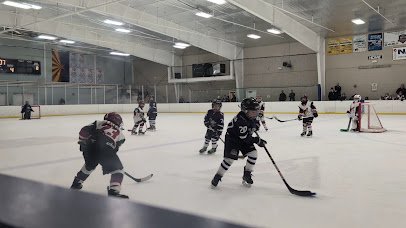 Jay Lively Activity Center Hockey photo 2