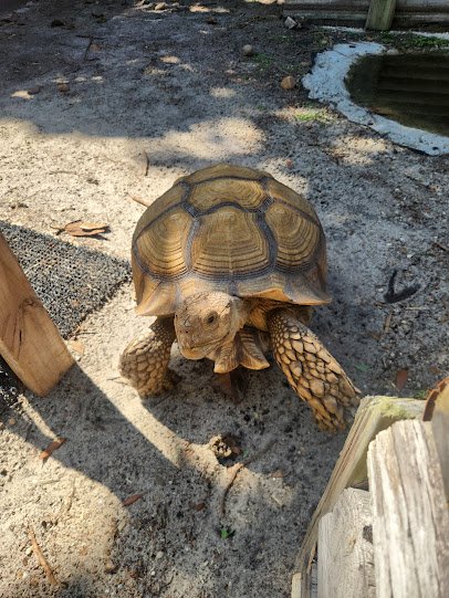 Emerald Coast Science Center photo 6