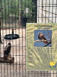 Oatland Island Wildlife Center photo 5