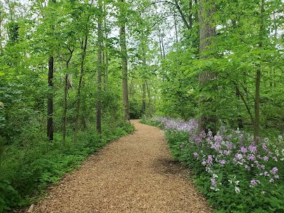 Vera Meineke Nature Center at Spring Valley photo 6