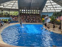 Brookfield Zoo Chicago photo 3