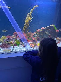 Harbor WildWatch photo 4