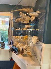 Harbor WildWatch photo 5