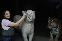 PO Will photo 5