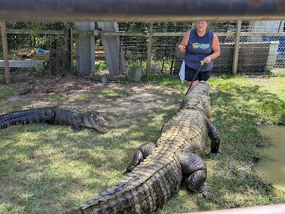 Kliebert & Son’s Gator Tours photo 3