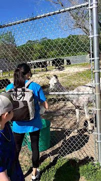 Tupelo Buffalo Park & Zoo photo 2