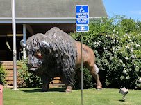 Tupelo Buffalo Park & Zoo photo 5