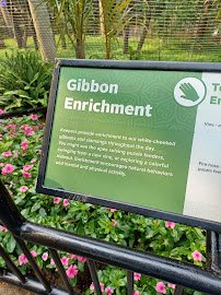Gibbon Ridge photo 2