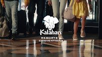 Kalahari Indoor Waterpark photo 2