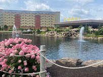 Kalahari Indoor Waterpark photo 6