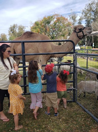 Flying Pigs Petting Zoo and Pony Rides photo 2