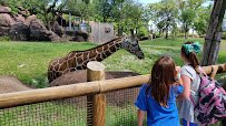 Saint Louis Zoo photo 2